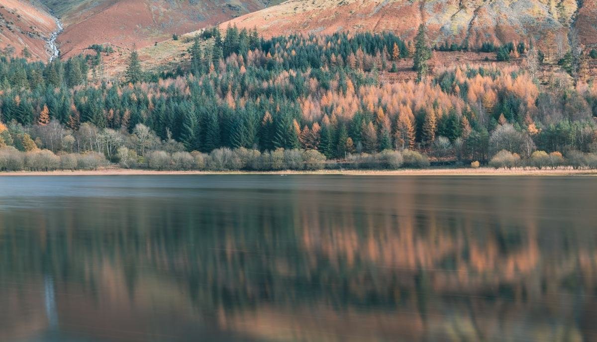 Bosco autunnale riflesso nell'acqua del lago